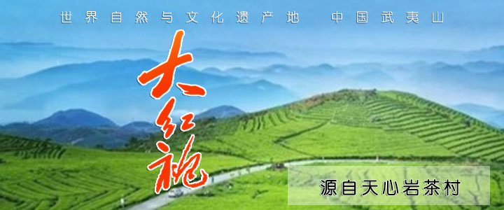 武夷大红袍