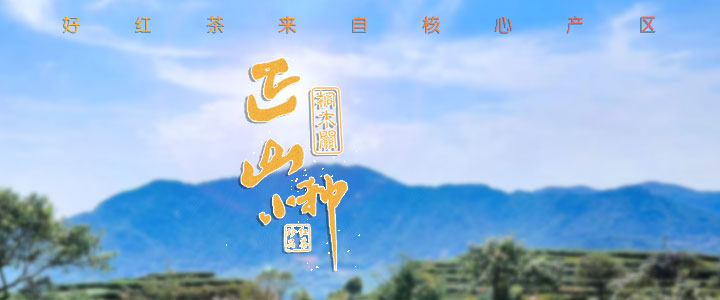 正山小种红茶